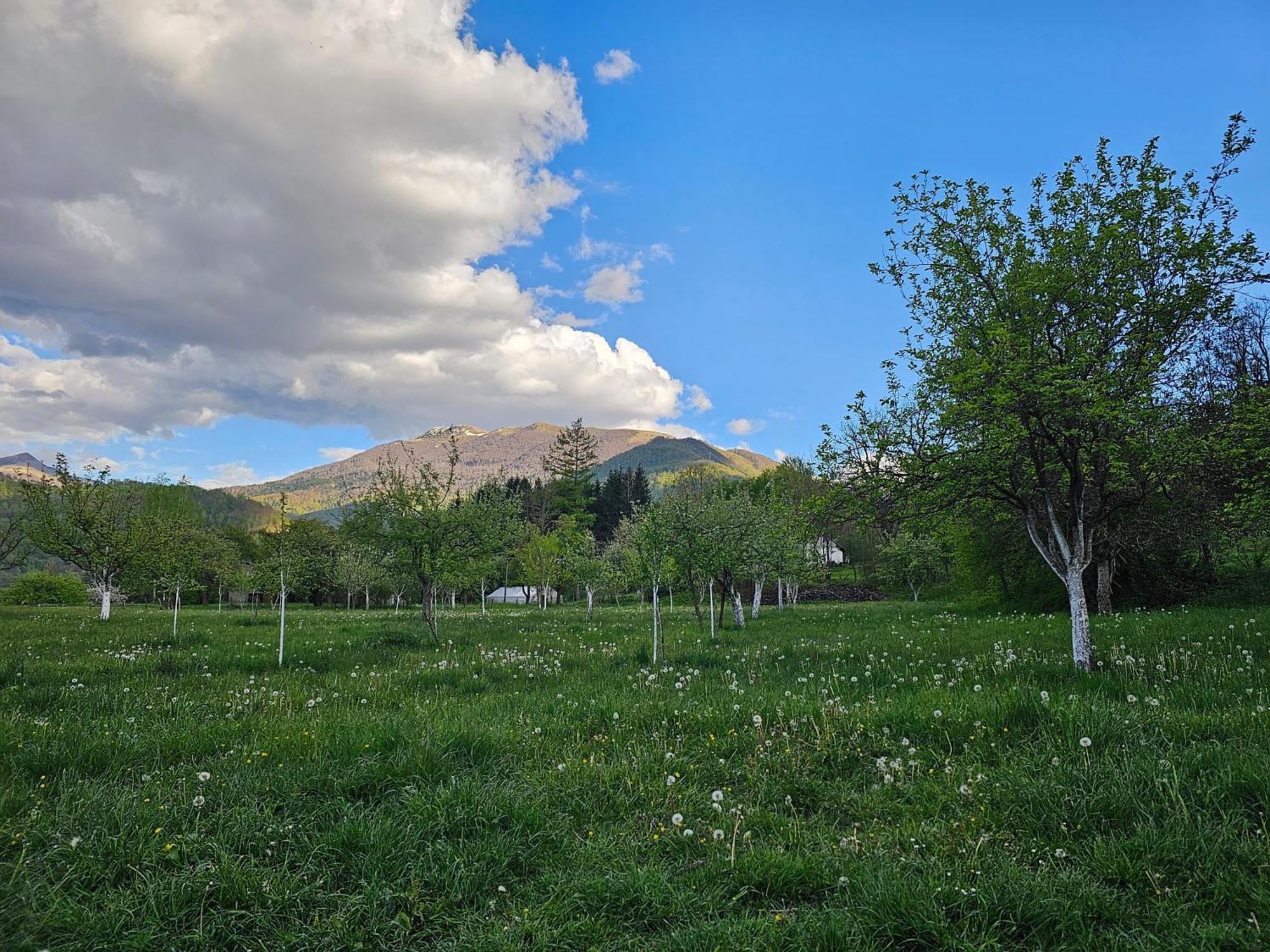 Traditional House Srna Mojkovac Dış mekan fotoğraf